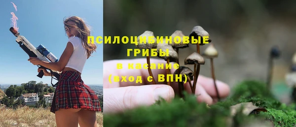 a pvp Абинск