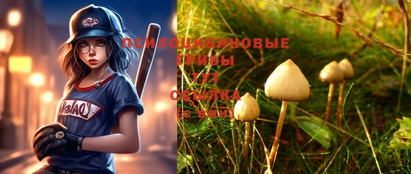 a pvp Абинск