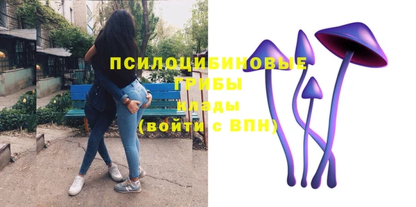 МДПВ Протвино