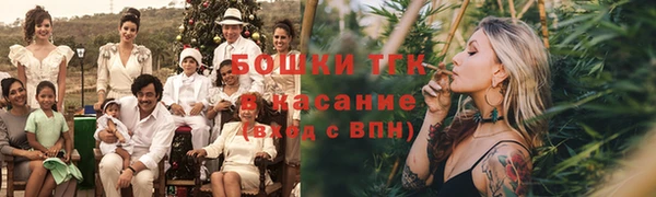 МДПВ Протвино