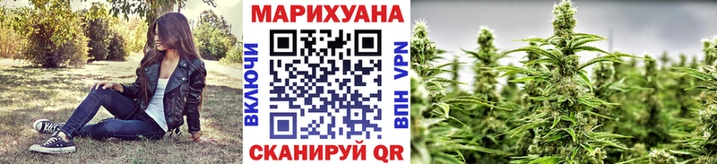 купить   Торопец  Марихуана тримм 